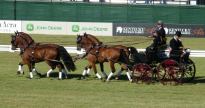 World Equestrian Games