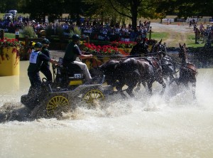 World Equestrian Games