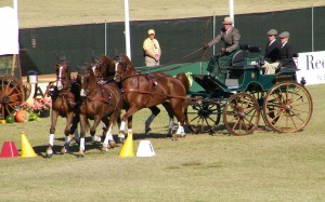 World Equestrian Games