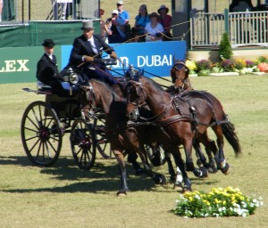 World Equestrian Games