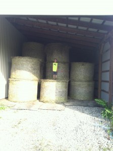 round bales