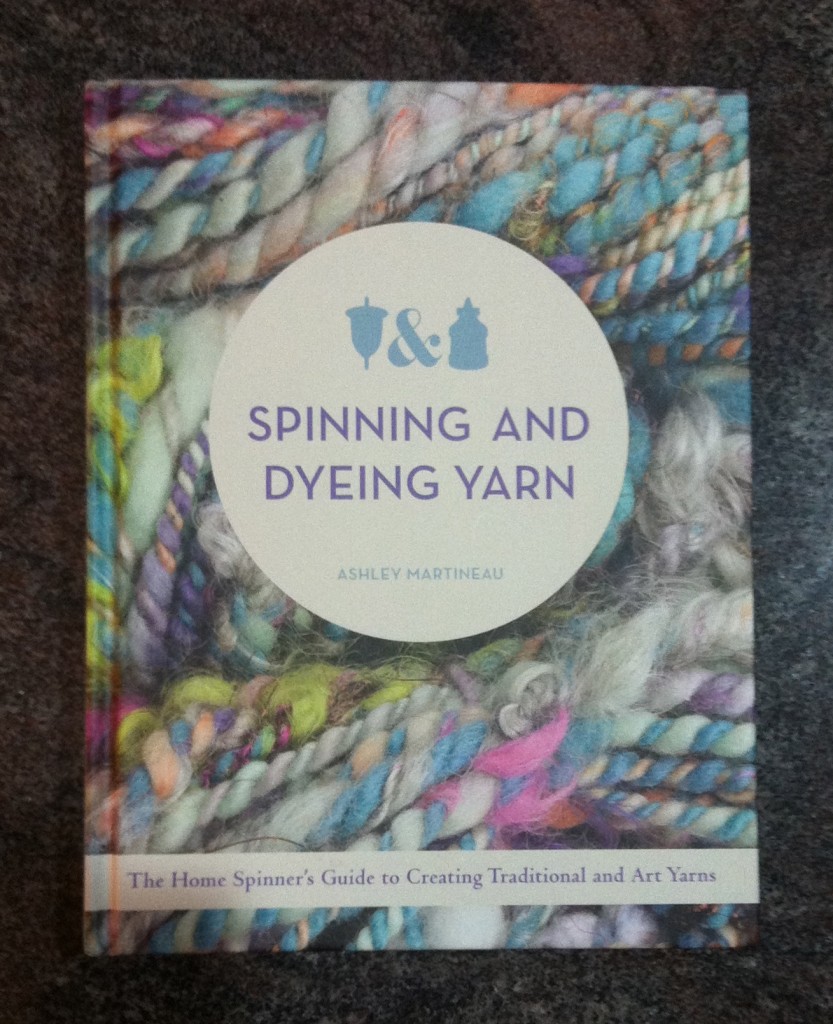spinningdyeing book