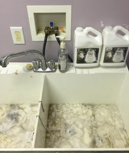 Washing fleece in my dye room laundry sink.