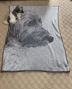mia dog and knit blanket